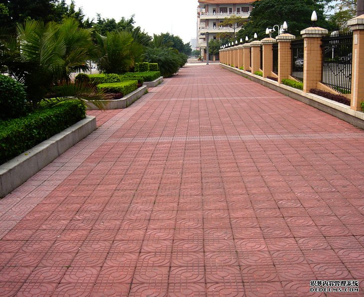 鰸