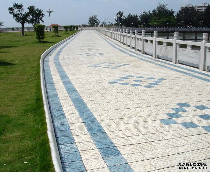 鰸